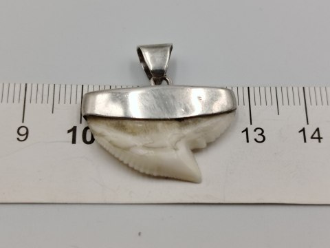 Stary srebrny damski wisiorek/zawieszka z zęba REKINA - VINTAGE biżuteria